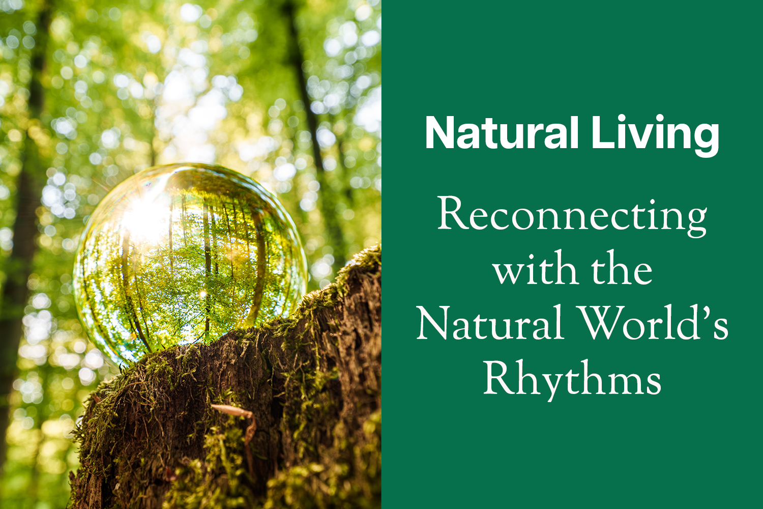 Living by the Sun: Reconnecting with the Natural World