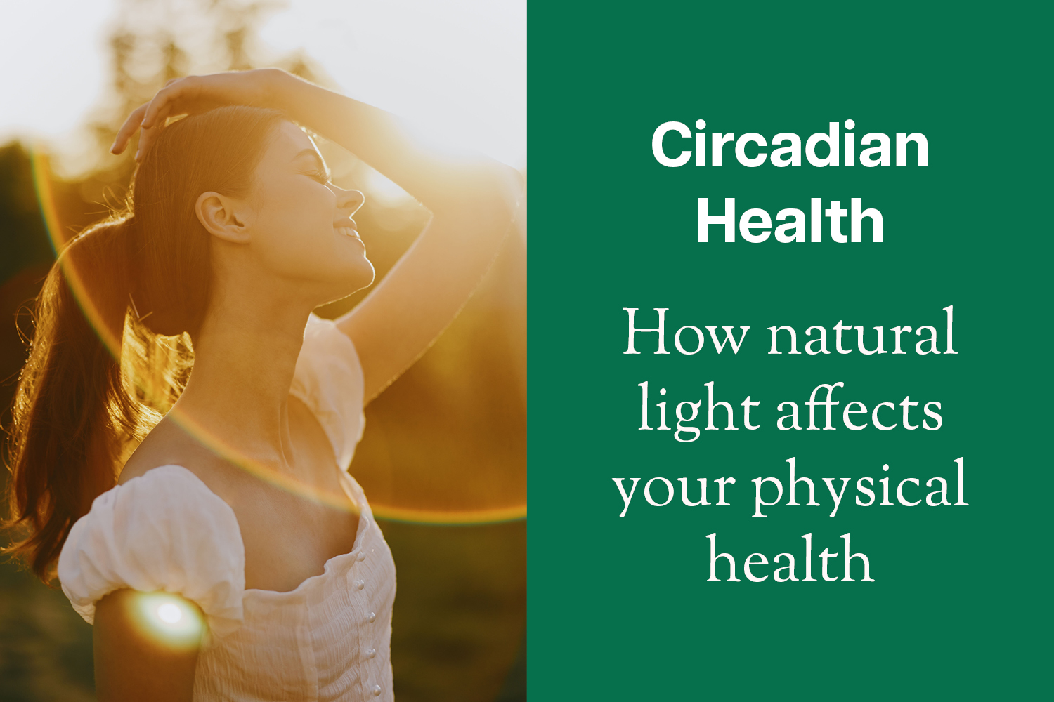 Sunlight, Circadian Rhythm and Your Spine: Why Natural Light Shapes How You Feel