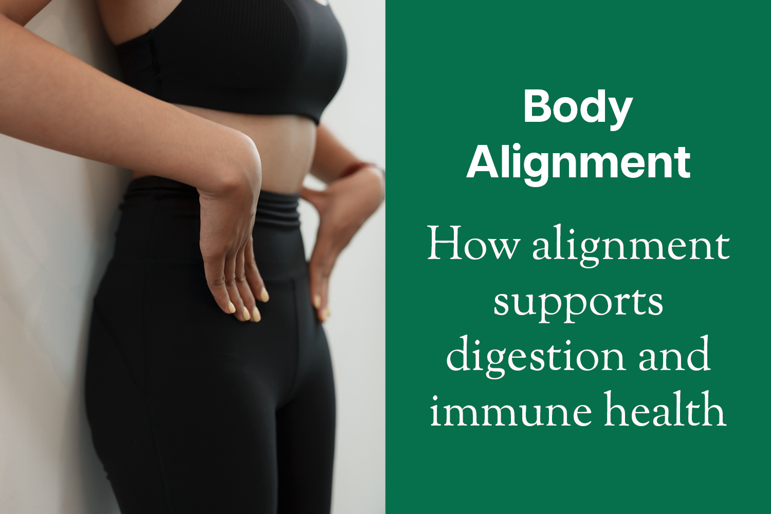 The Organised Body: How Alignment Supports Better Digestion, Immunity and Energy