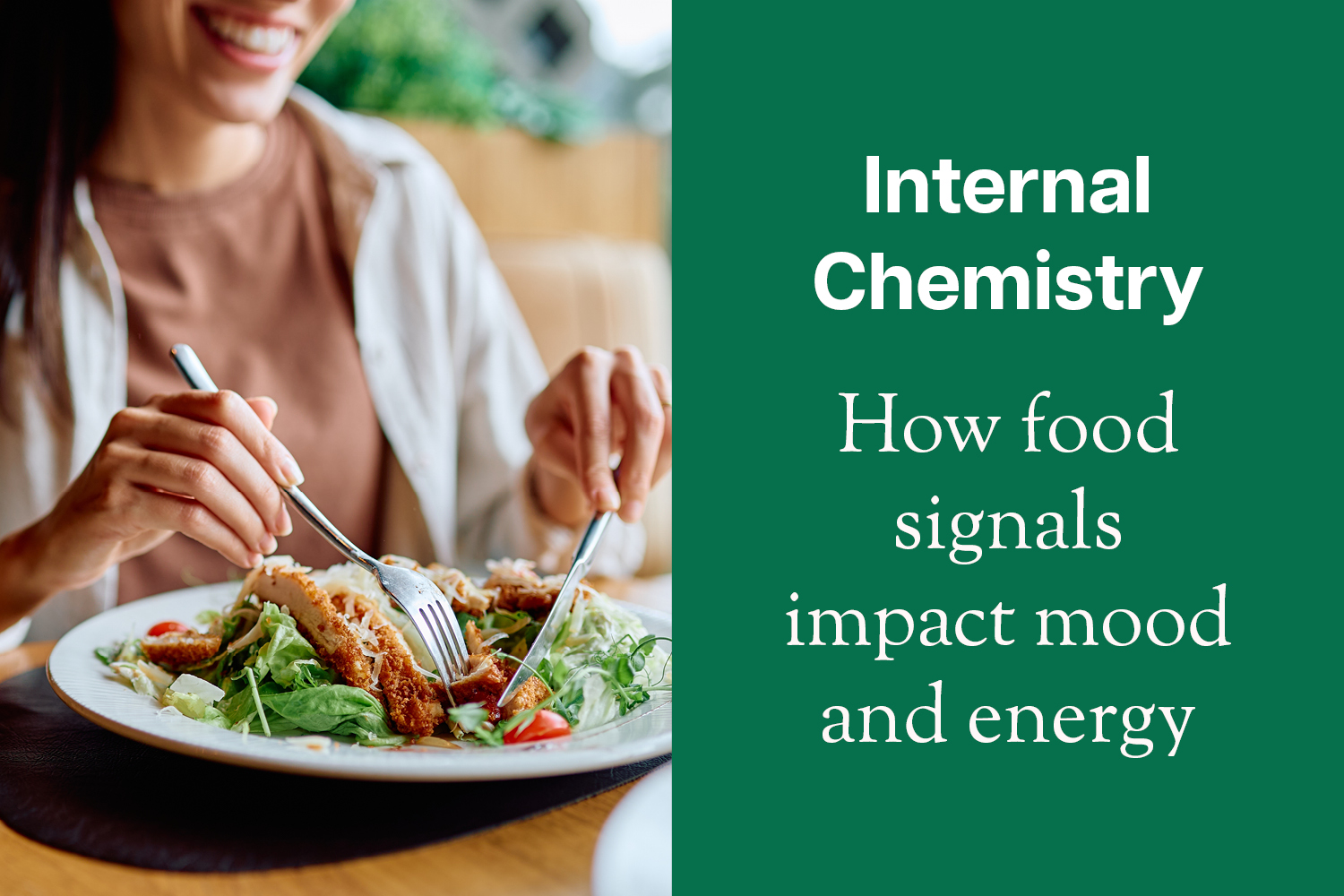 Your Body’s Internal Chemistry: How Food Signals Influence Mood, Energy and Comfort