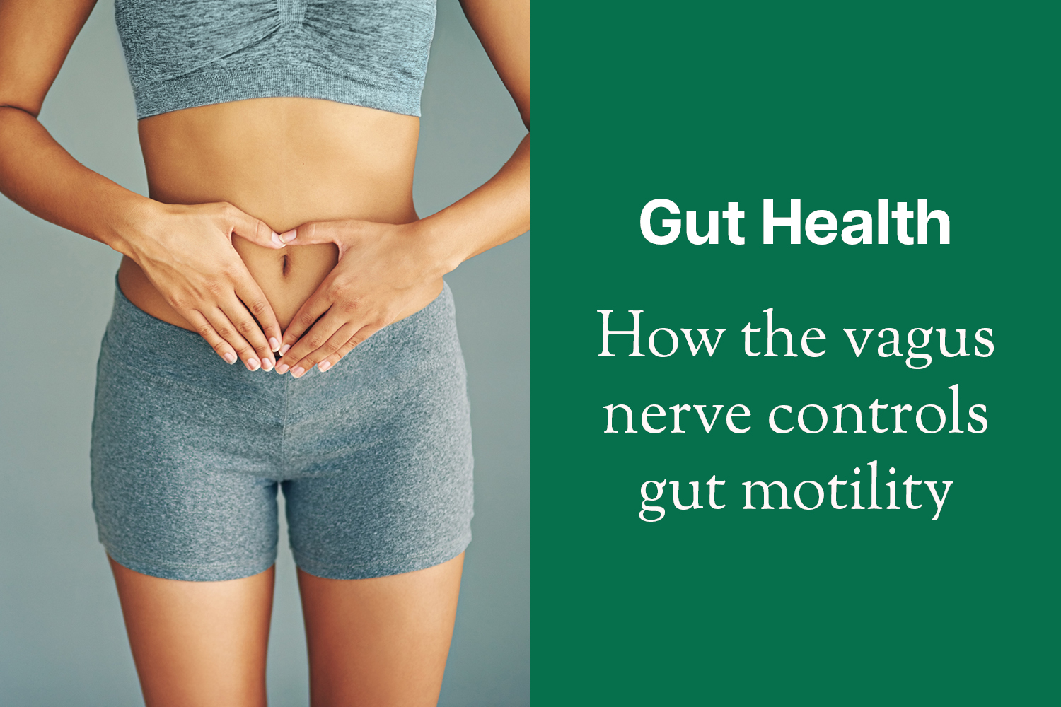 Moving Beyond Mood: The Vagus Nerve and Gut Motility