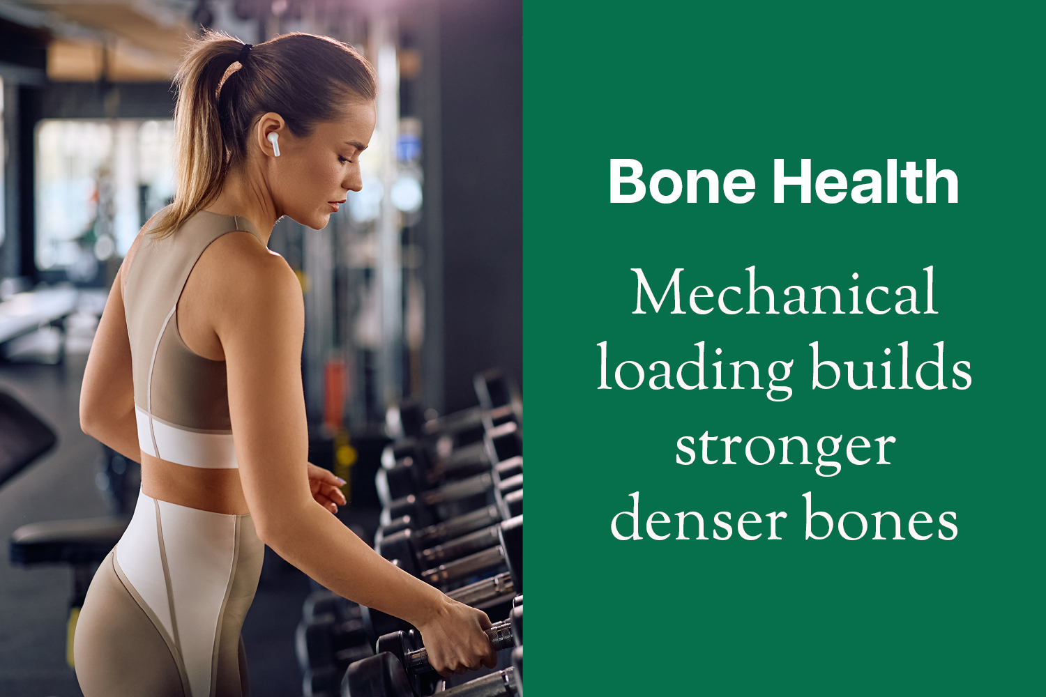 The Anatomy of Longevity: Bone Density and Mechanical Loading