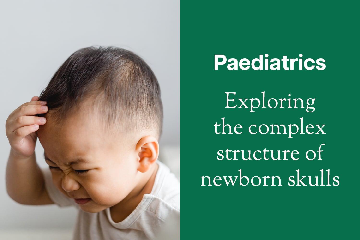 The Architecture of the Newborn Skull: Beyond the Soft Spot